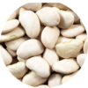 Lima Beans