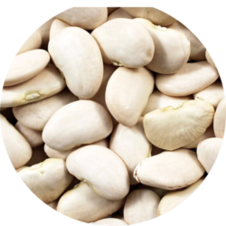 Lima Beans